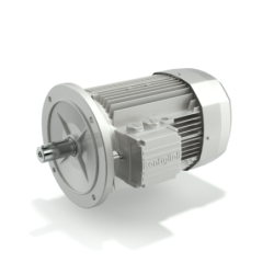 bn-series-iel-induction-electric-ac-motors-25888