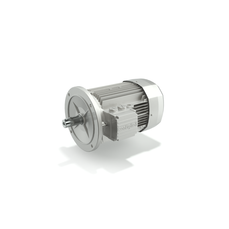 bn-series-iel-induction-electric-ac-motors-25888