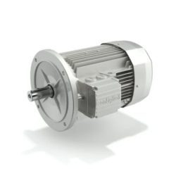 be-series-ie3-induction-electric-ac-motors-25889