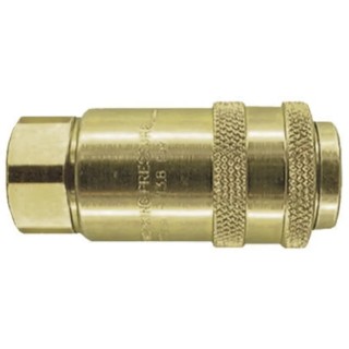 PCL Steel Pneumatic Quick Connect Coupling 1/2 in Female Rp AC21JF