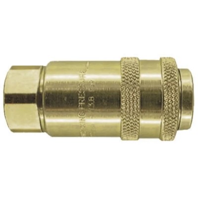 PCL Steel Pneumatic Quick Connect Coupling 1/2 in Female Rp AC21JF
