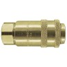 PCL Steel Pneumatic Quick Connect Coupling 1/2 in Female Rp AC21JF