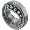 SKF Self-Aligning 2 Row Ball Bearing 45 mm ID, 85 mm OD, 19 mm Width 1209 EKTN9