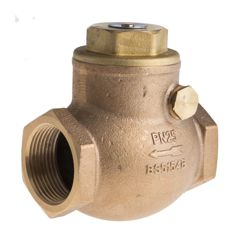 RS PRO Bronze Threaded R Single Check Valve 1 to 1/4 in 20 bar 510-3750