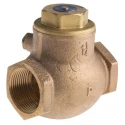 RS PRO Bronze Threaded R Single Check Valve 1 to 1/4 in 20 bar 510-3750
