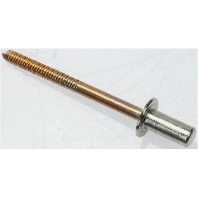 Pop Rivets Stainless Steel Blind Rivet Dome Head 4.8 mm Diameter, 12.5 mm Length TD608GT