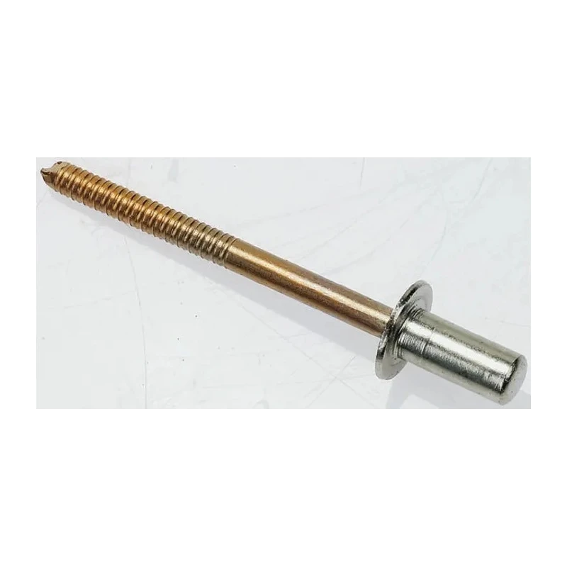 Pop Rivets Stainless Steel Blind Rivet Dome Head 4.8 mm Diameter, 12.5 mm Length TD608GT