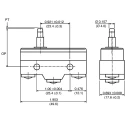 ZF Button Micro Switch Screw Terminal 20A 250 V AC SPDT GPTCND01