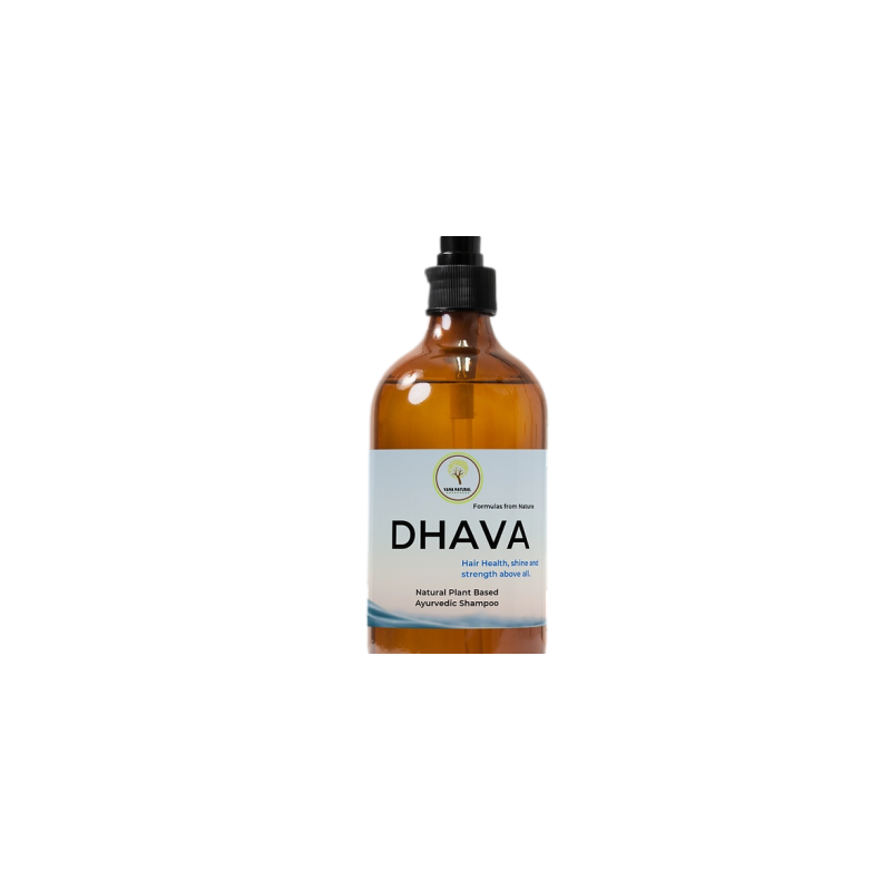 dhava-26101