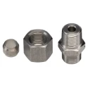 Legris LF3000 Series Male Pneumatic Fitting Stainless Steel 1/8 in NPT 1805 06 11