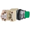 Schneider Electric Harmony 9001K Series Illuminated Push Button Switch, Spring Return, Panel Mount, 30 mm 9001K2L38LGGH13
