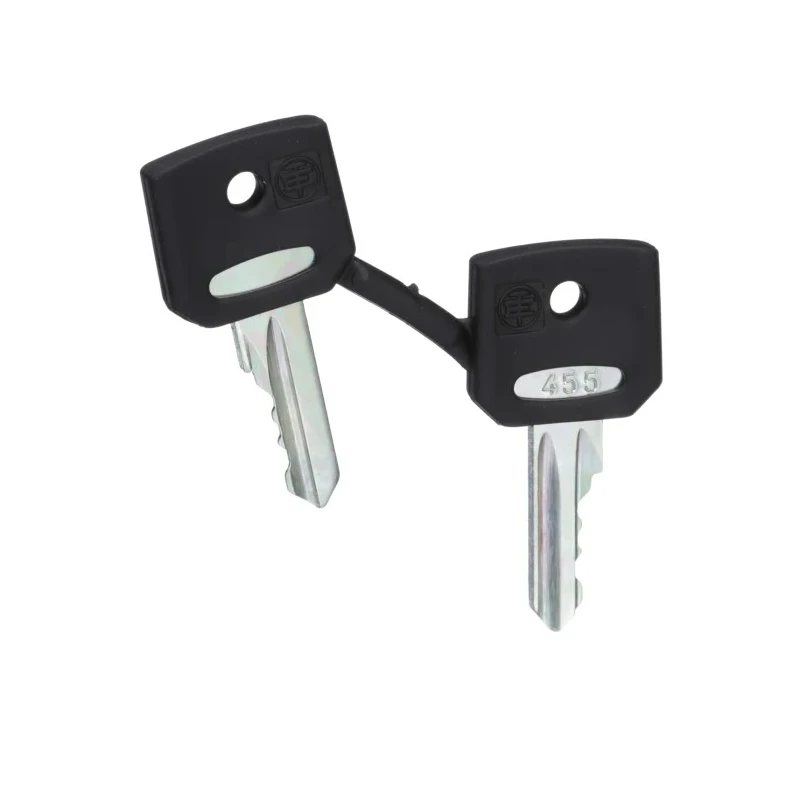 Schneider Electric Key Switch Keys for XALD-XALK-XB4-XB5 Series 