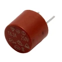 RS PRO Non-Resettable Fuse, Radial 6.3A, 250V AC, Nylon Body 611-9346