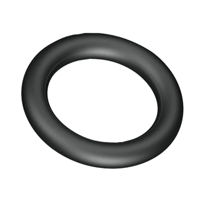 Watts Washer & Seal Kit with 50 Small O-Rings in 10 Compartments 315298 180106 4