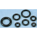 Watts Washer & Seal Kit with 50 Small O-Rings in 10 Compartments 315298 180106 4
