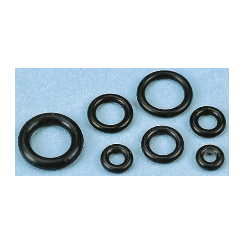 Watts Washer & Seal Kit with 50 Small O-Rings in 10 Compartments 315298 180106 4