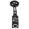 Omron D4N Series Roller Lever Limit Switch 1 NO/1 NC Slow Action Contact IP67 Protection 