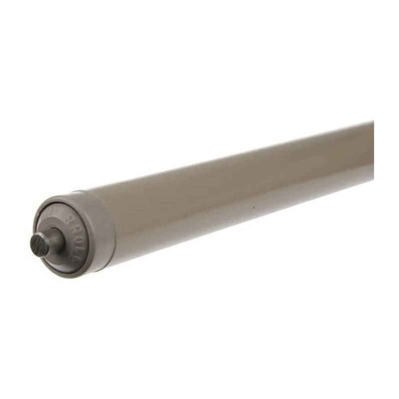 Interroll Plastic Round Conveyor Roller Spring Loaded 20 mm Diameter x 300 mm Length, 6 mm Stainless Steel 11AZS20D03 - 300