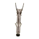 TE Connectivity Mini-Universal MATE-N-LOK Series Female Crimp Terminal 7A Current 22-18 AWG Wire Size 105°C 170366-1