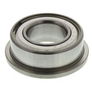 NMB 1 Row Ball Bearing 10 mm ID, 19 mm OD, Shielded, Martensitic Stainless Steel DDLF1910ZZRA5P24LY121