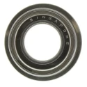 NMB 1 Row Ball Bearing 10 mm ID, 19 mm OD, Shielded, Martensitic Stainless Steel DDLF1910ZZRA5P24LY121