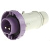 Scame IEC309 IP67 Purple Cable Mount 2P Straight Industrial Power Connector, 16A, 20V, 25V 235.1600