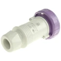 Scame IEC309 IP67 Purple Cable Mount 2P Straight Industrial Power Connector, 16A, 20V, 25V 235.1600