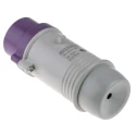Scame Purple Industrial Power Connector Cable Mount 2P 16A 20-25V IP44 Straight Male IP44