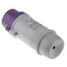 Scame Purple Industrial Power Connector Cable Mount 2P 16A 20-25V IP44 Straight Male IP44