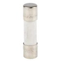 RS PRO 2A T Ceramic Cartridge Fuse, 5 x 20 mm, 250V AC, Fast Acting, Ceramic Body 563-609