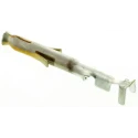 TE Connectivity Mini-Universal MATE-N-LOK Series Female Crimp Terminal 9.5A Current Gold Plating Brass Contact 1-770986-0