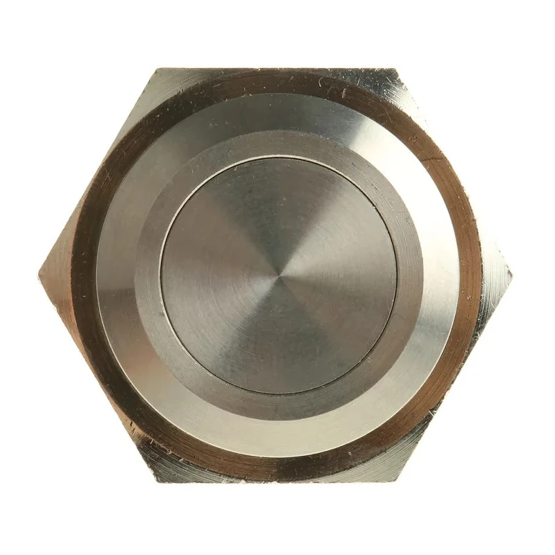 Bulgin Stainless Steel Momentary Push Button Switch, Panel Mount, 25.8 mm Cutout, SPST, IP66, 28V DC 250V AC, 5A MP0038