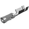 TE Connectivity AMPMODU MOD IV Series Female Crimp Terminal, 3A, 24 AWG Min, 20 AWG Max, Bronze Phosphor Bronze 6-87523-9