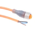 Lumberg Automation Sensor Actuator Cable Female 3 Way Straight to Unterminated 2 m 250V IP67 11363 RKT 4-3-06/2 M