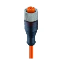 Lumberg Automation Sensor Actuator Cable Female 3 Way Straight to Unterminated 2 m 250V IP67 11363 RKT 4-3-06/2 M