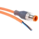 Lumberg Automation Sensor Actuator Cable Male 4 Way M12 Connector to Unterminated Free End 2 m 11804 RST 4-07/2 M