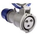 Scame Industrial Power Connector 2P+PE 32A 230V IP66 IP67 Blue Cable Mount Optima 318.3243