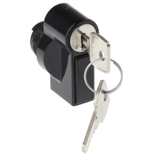 Schneider Electric Steel Lock Handle NSYTHL1242EPLM
