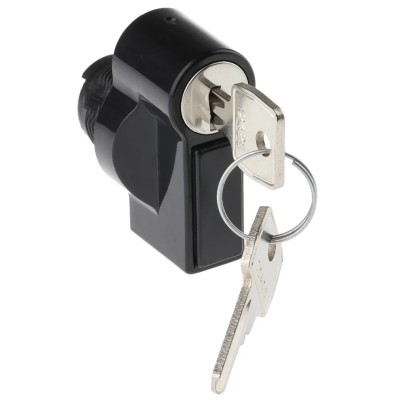 Schneider Electric Steel Lock Handle NSYTHL1242EPLM