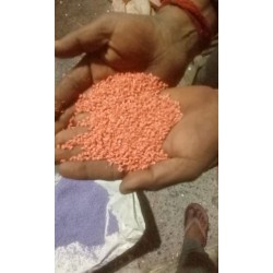 pbt-orange-granules-orange