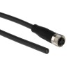 BALLUFF Female 3 Way Straight to Unterminated Free End Sensor Actuator Cable, 5 m BCC M313-0000-10-001-PX0334-050