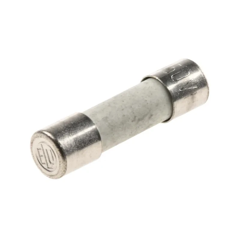 SIBA 2A Time Delay Ceramic Cartridge Fuse, 5 x 20 mm, 250V AC, Series GZ 70-007-65/2A