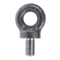 RS PRO Carbon Steel Galvanised Eye Bolt M20 Thread Size 27 mm Thread Length 27 mm 1.6 t Working Load Limit 673-664