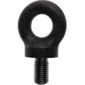 RS PRO Carbon Steel Eye Bolt M24 Thread 40 mm Thread Length 77 mm Eye Outside Diameter 2.5 t Working Load Limit 673-670