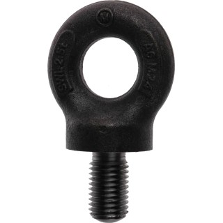 RS PRO Carbon Steel Eye Bolt M24 Thread 40 mm Thread Length 77 mm Eye Outside Diameter 2.5 t Working Load Limit 673-670