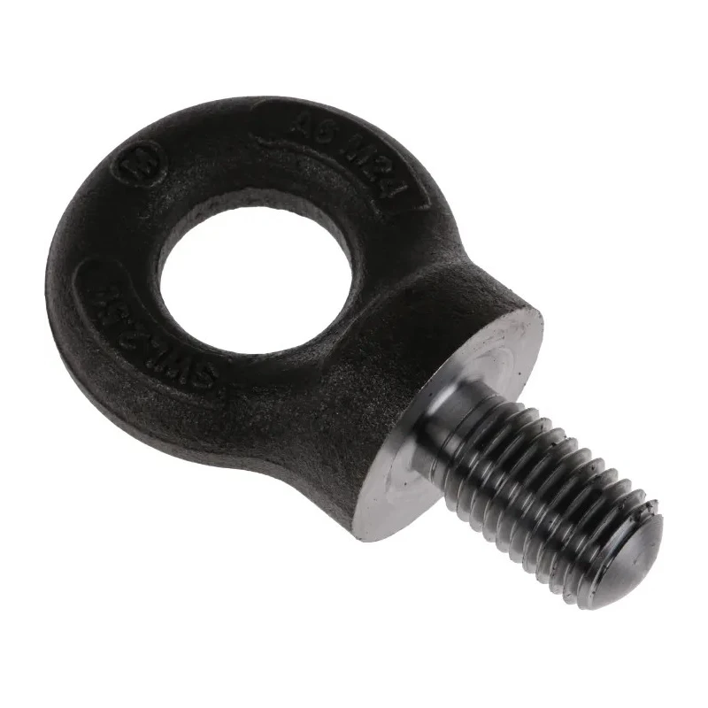 RS PRO Carbon Steel Eye Bolt M24 Thread 40 mm Thread Length 77 mm Eye Outside Diameter 2.5 t Working Load Limit 673-670