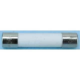 Schurter 5A T Ceramic Cartridge Fuse 5 x 20 mm 250V AC Time Delay 0001.2511