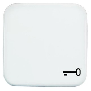 Busch Jaeger - ABB White Thermoplastic Light Switch Cover 54x54x20 mm 2520 TR-214