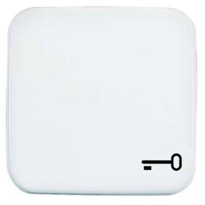 Busch Jaeger - ABB White Thermoplastic Light Switch Cover 54x54x20 mm 2520 TR-214
