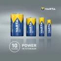 Varta Industrial Pro Alkaline AA Battery 1.5 V 2.95Ah LR6 Model 4008496882069